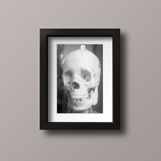 7" x 5" - Skull (2023) [Satin Finish]