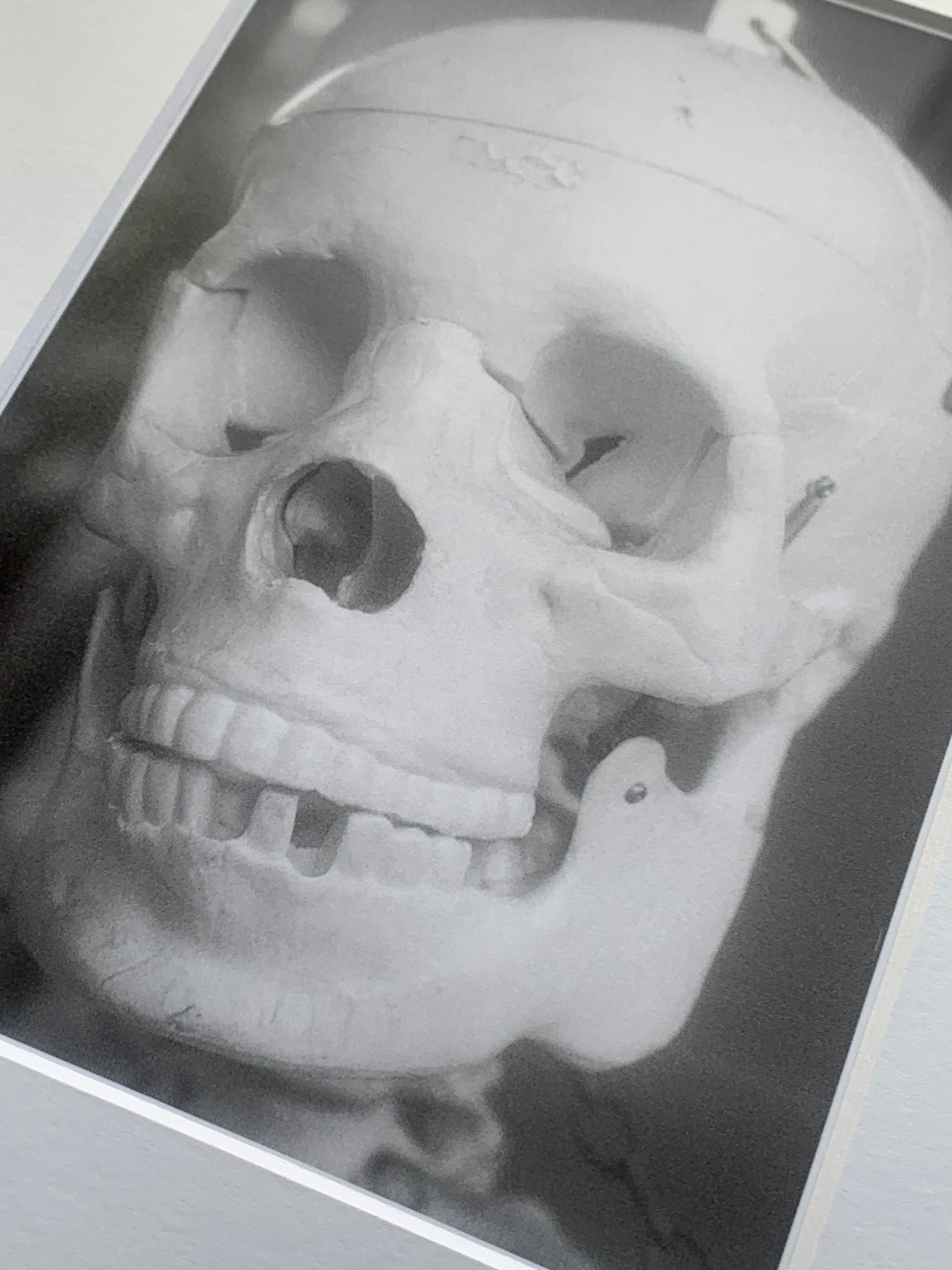 Skull Skeleton Black and White Film Kentmere 100 35mm Film Analog Photo Ready To Frame Gift Idea Gothic Home Decor Design