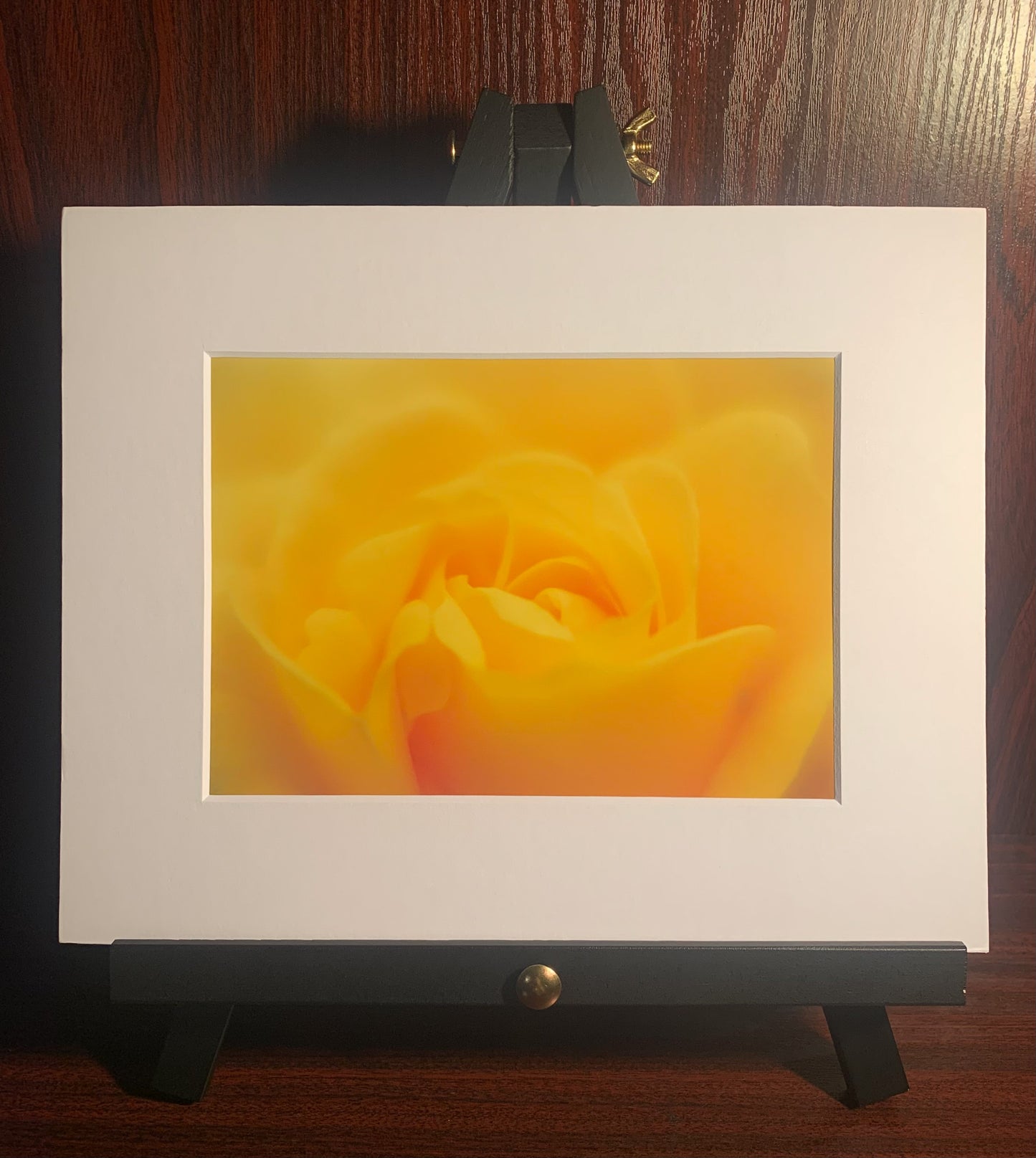 7”x5” - ‘Yellow Rose’ (2021) Wortley, Leeds, UK [Oyster finish]